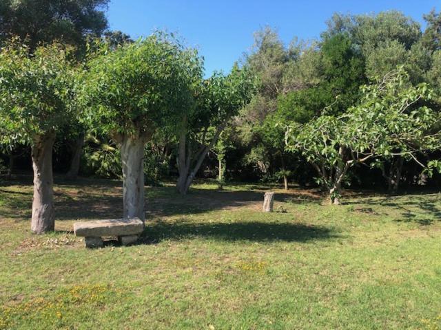Civico34 House 3 - I Giardini Dell'Ancora Villa สตินติโน ภายนอก รูปภาพ